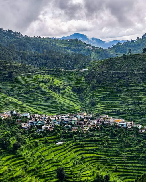 Gwad Village near khirsu, Pauri Garhwal