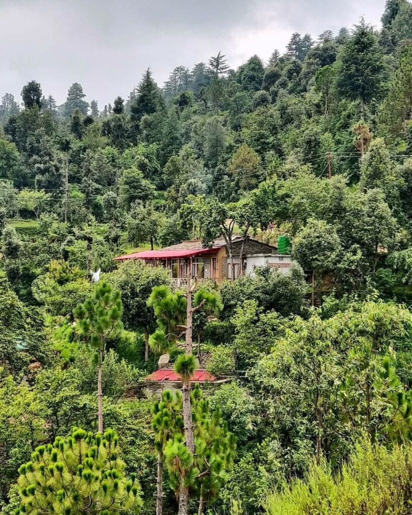 sakoon homestay jalna village almora uttarakhand